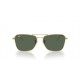 Ray Ban Caravan Reverse RB0102S 001/VR