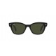 Ray Ban RB0880S 901/31