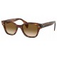 Ray-Ban RB0880S 954/51 - RAYBAN