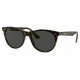 RAYBAN RB2185 1292B1 WAYFARER II - RAYBAN