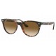 RAYBAN RB2185 133451 WAYFARER II - RAYBAN