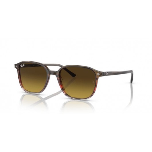 Ray Ban Leonard RB2193 138085