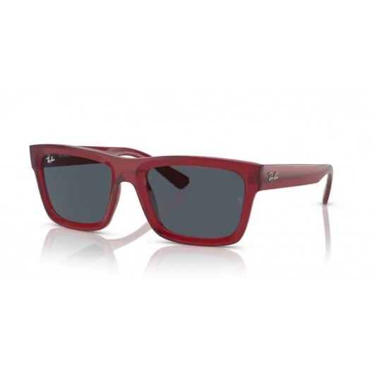 Ray Ban WARREN RB4396 667987