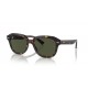 Ray Ban ERIK RB4398 902/31