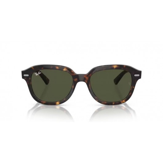 Ray Ban ERIK RB4398 902/31