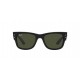 Ray Ban MEGA WAYFARER RB0840S 901/31