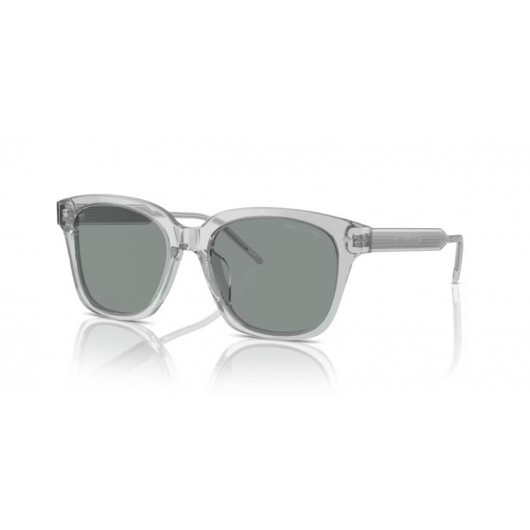 GIORGIO ARMANI AR8210U 608056