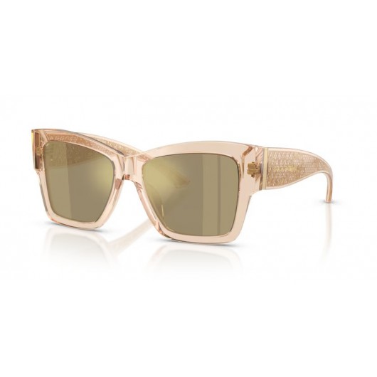 Dolce & Gabbana DG4493 343203
