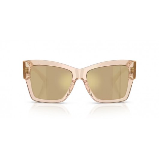 Dolce & Gabbana DG4493 343203