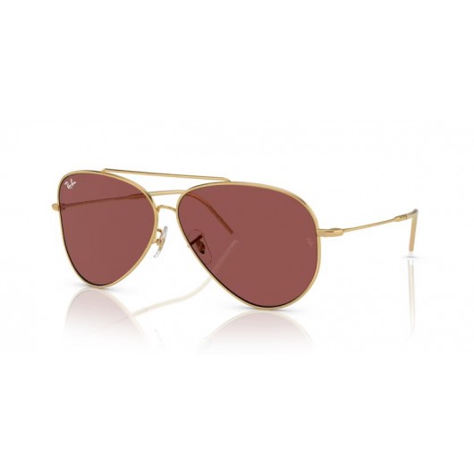 Ray Ban Aviator Reverse RB0101S 001/69