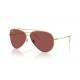 Ray Ban Aviator Reverse RB0101S 001/69