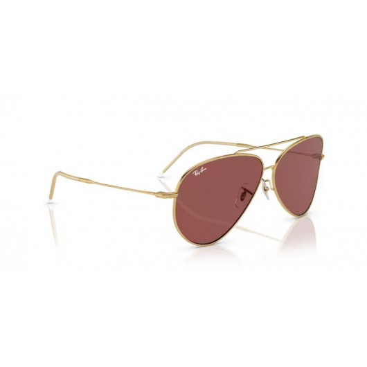 Ray Ban Aviator Reverse RB0101S 001/69