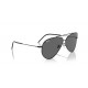 Ray Ban Aviator Reverse Lenny Kravitz RB0101S 002/GR