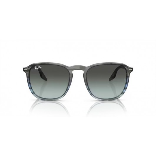 Ray Ban RB2203 1391GK