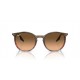 Ray Ban RB2204 13953B