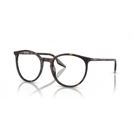 Ray Ban RB2204 902/GJ