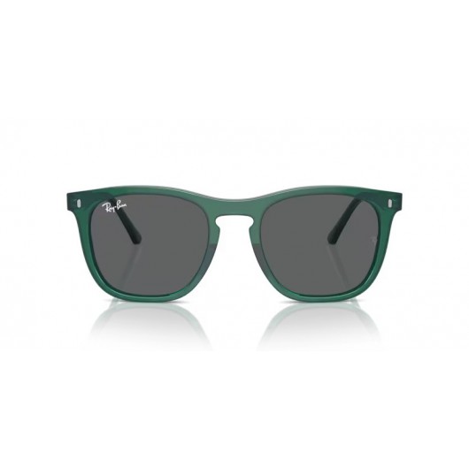 Ray Ban RB2210 6615B1