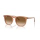 Ray Ban RB2210 676451