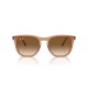 Ray Ban RB2210 676451