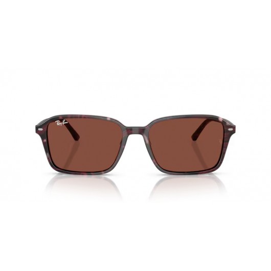 Ray Ban RB2231 1416C5 Raimond