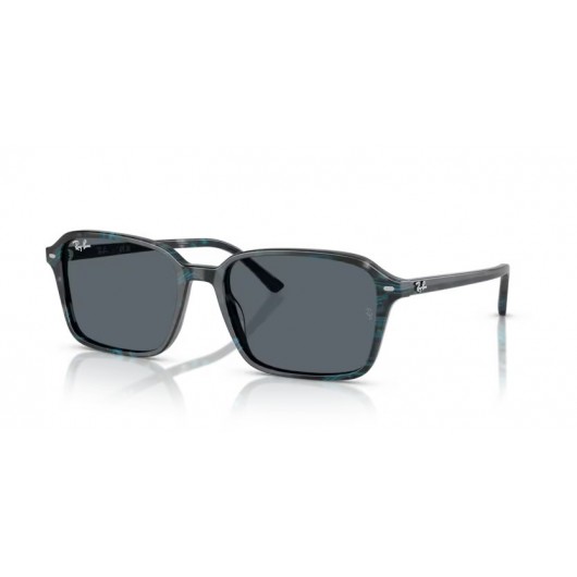 Ray Ban RB2231 1417R5 Raimond