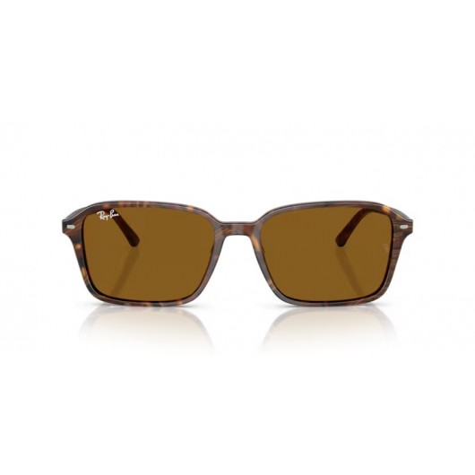 Ray Ban RB2231 141833 Raimond