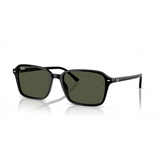 Ray Ban RB2231 901/31 Raimond