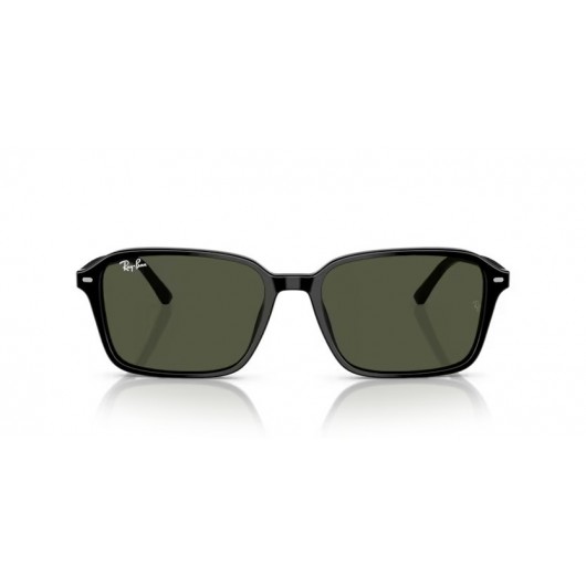 Ray Ban RB2231 901/31 Raimond