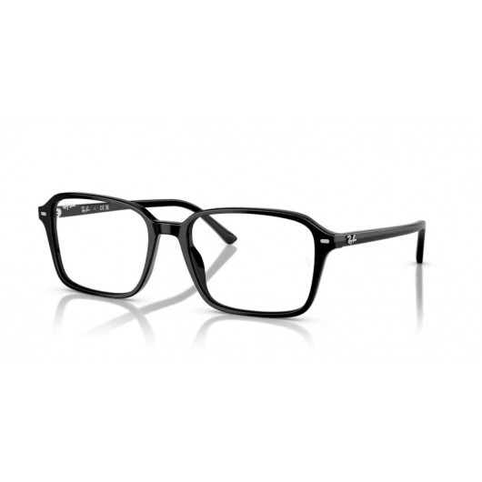 Ray Ban RB2231 901/GG Photochromic Raimond