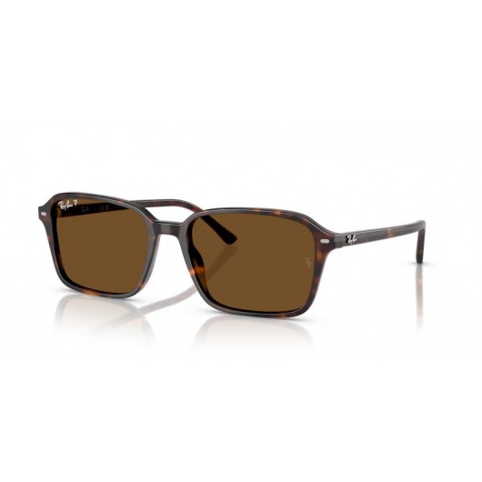 Ray Ban RB2231 902/57 Polarized Raimond