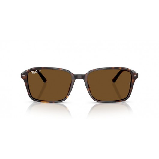 Ray Ban RB2231 902/57 Polarized Raimond