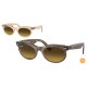 Ray Ban Wayfarer oval RB2242 138685