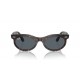 Ray Ban Wayfarer oval RB2242 902/R5