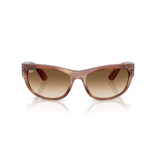 Ray Ban MEGA BALORAMA RB2289 140351