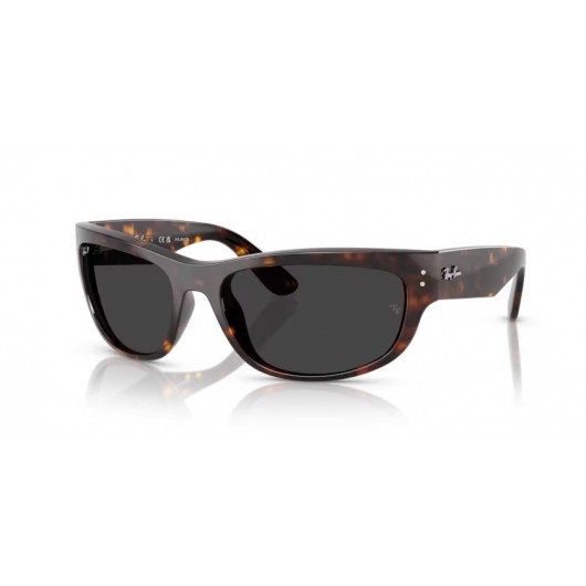 Ray Ban MEGA BALORAMA RB2289 902/48 Polarized