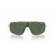 Ray Ban Wings iii RB3897 001/71