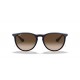 Ray Ban RB4171 631513 ERIKA