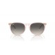 Ray Ban RB4171 674211 ERIKA