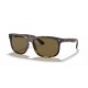 Ray Ban RB4226 710/73