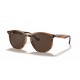 Ray Ban RB4306 820/73