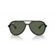 Ray Ban RB4376 601/71