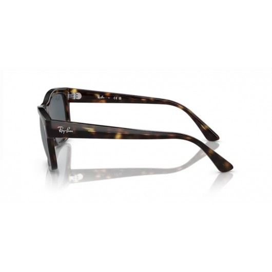 Ray Ban RB4428 710/R5