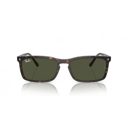 Ray Ban RB4435 902/31