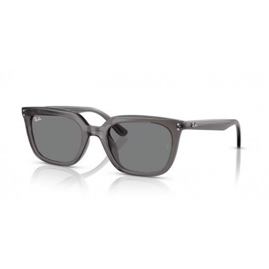 Ray Ban RB4439D 667587