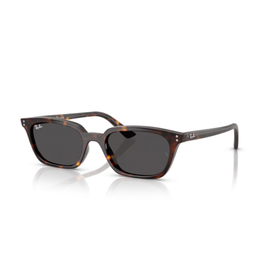 Ray Ban Zaya RB4456 135987