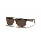 Ray Ban Junior New Wayfarer RJ9052S 152/73