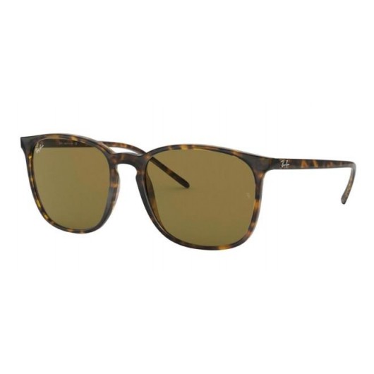 RAY BAN RB4387 710/73 - RAYBAN